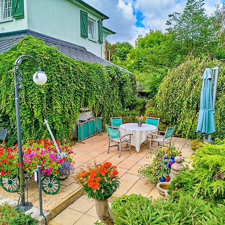 Apartman Dobra Voda Toužim Exteriér fotografie